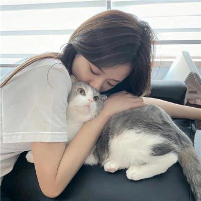 青春谎言之旅